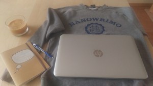 12193545_1626295670968638_799221860572947502_n