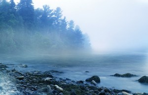 mist-1659115_960_720