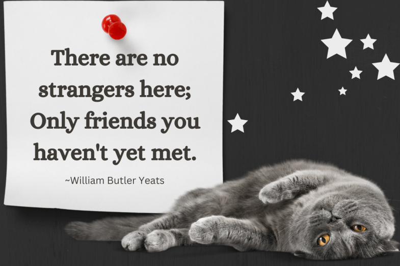 Kein Titel (1200 × 800 px)